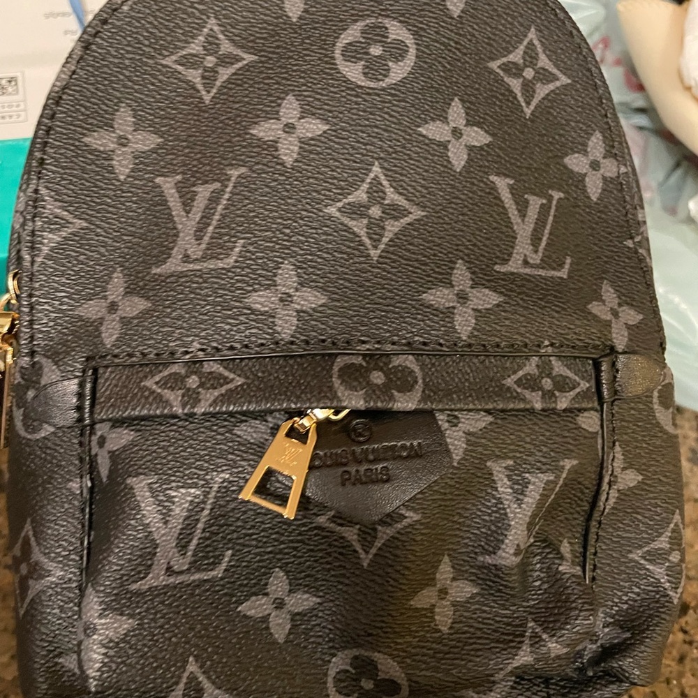 Louis Vuitton Palm Springs small backpack- new